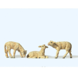 Preiser 47061 Assorted Lambs