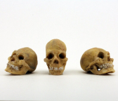 M0101 Mini "Human" Skulls - 3 pack