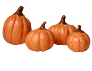 M8822 Pumpkins, Variety of Sizes - 4 Pieces