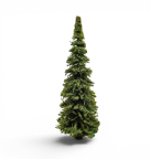 Jordan 886064 Pine Tree, Collection Item