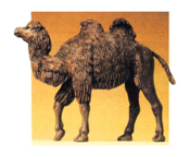 Preiser 47533 Walking Camel