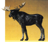 preiser 47536 Standing Bull Moose