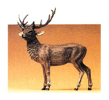 preiser 47700 Stag Elk, Standing