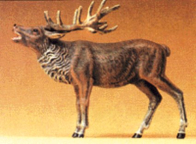 Preiser 47701 Bellowing Stag Elk