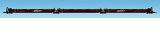 USA Trains R17164 BNSF (Speed Logo) Intermodal 3 Unit Set (No Containers)