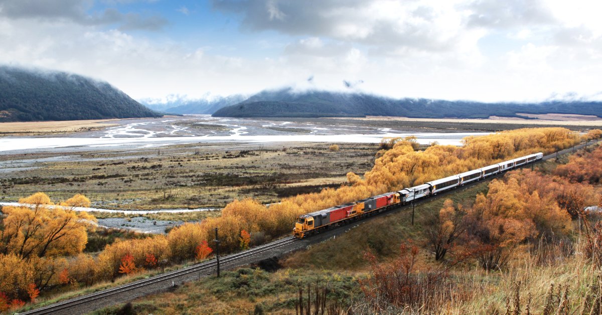 A small train goes through a landscape in New Zealand. The train runs past orange trees, small rivers, and mountains.