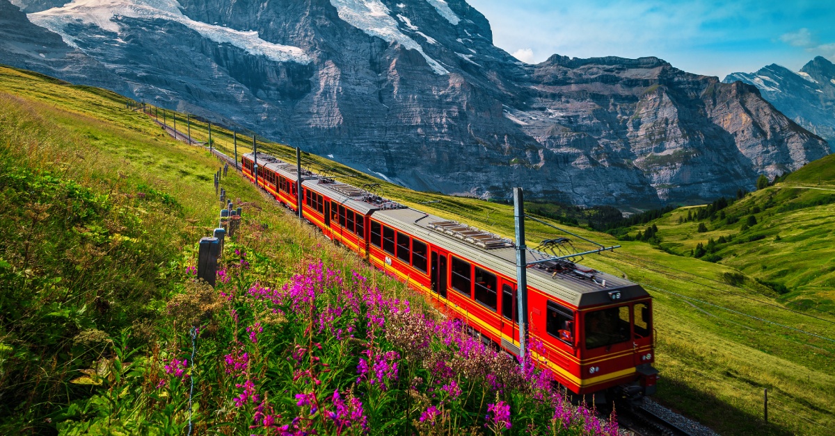 A small passenger train traveling through a scenic railroad, passing by flowers, hills, and large snowy mountains.